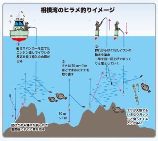ヒラメ釣りのイメージ図