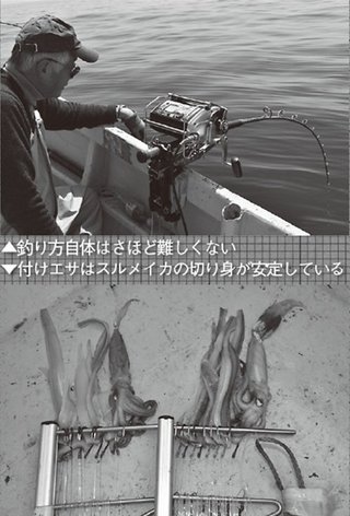 釣り方とエサの写真