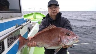 【釣果速報】神奈川県かねい丸でマダイ絶好調！今後はますます大鯛の数釣りが楽しめるそうですよ！