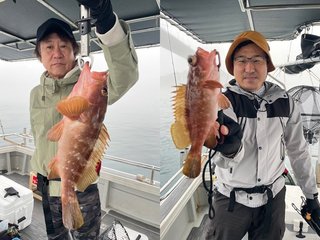 【釣果速報】広島県芳丸で良型アコウがテンポ良く上がる！船長がこれから乗船する人にアドバイスを伝授！爆釣したい方は必見！