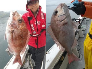 【釣果速報】静岡県魚磯丸でマダイGET！アジ・イサキなどゲストも超豊富に！