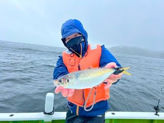 【釣果速報】アベレージは25cm！神奈川県政信丸のデカアジ主体の釣行に終始テンション爆上がり！