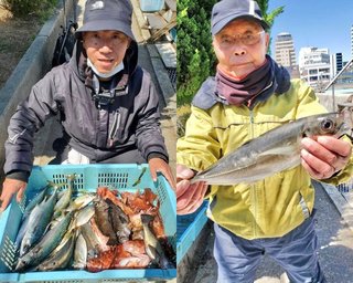 【釣果速報】兵庫県釣り船 名田屋はメバル・ガシラが連日大漁！今回は31cmの大物キャッチ！この勢いに今すぐ乗ろう！