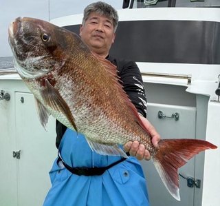 【釣果速報】マダイにクロダイ、アジ！神奈川県あまさけや丸に乗るとクーラーボックスが高級魚の宝石箱になるぞ！