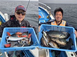 【釣果速報】神奈川県ちがさき丸で朝からイサキ好調！竿頭は22匹！今なら一日中数釣りが楽しめます！