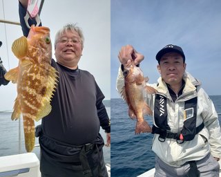 【釣果速報】 今シーズン初アコウ便！京都府GLANZに乗るとクーラーボックスが高級魚の宝石箱になるぞ！