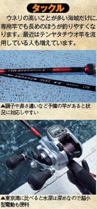 タックルの写真