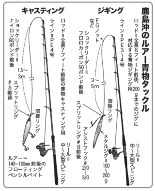 鹿島沖のルアー青物タックル