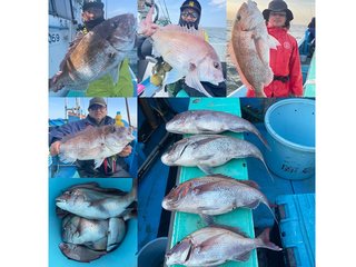 【釣果速報】でか～～～～い！茨城県久保丸で4.10kgのマダイキャッチ！現在、中～大鯛メインにコンスタントに釣れてる模様です！