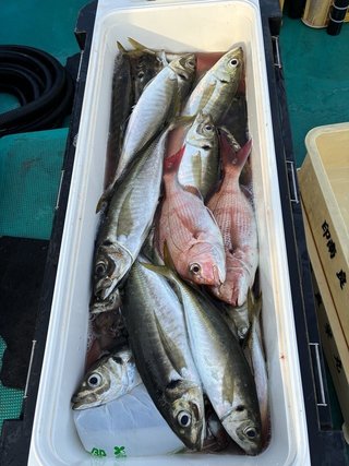 釣果