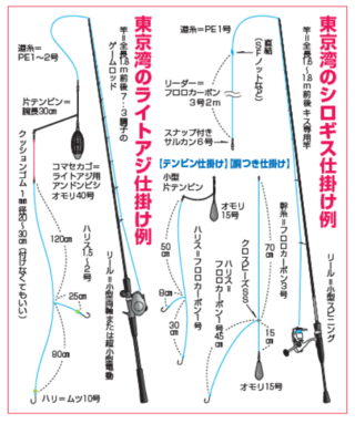 東京湾のシロギス仕掛け例・東京湾のライトアジ仕掛け例