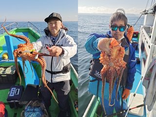 【釣果速報】千葉県フィッシュオン大勝でマダコ・アジ・サバ・ホウボウなどキャッチ！マダコ最大2.30㎏！一度釣るとクセになるタコ釣りはこの夏絶対挑戦して！