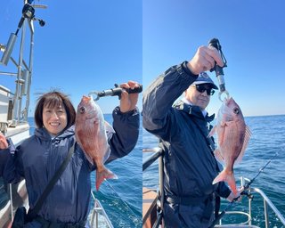 【釣果速報】マダイにカサゴ、ヒラメ！千葉県With-Oceanに乗るとクーラーボックスが高級魚の宝石箱になるぞ！