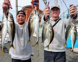 【釣果速報】良型アジがクーラーにぎっしり！神奈川県愛正丸で質も量も大満足の釣行を楽しもう！