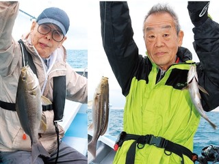 良型イサキ好調スタート！ ライトで気軽に数釣りOK
