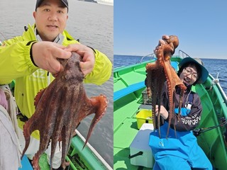 【釣果速報】2.80kgのモンスターマダコGET！記録狙いなら千葉県フィッシュオン大勝に乗船を！