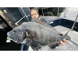 【釣果速報】千葉県TARGETでクロダイ・シーバス好調！45cmの大満足デカダイ登場！今乗船すれば絶好調！