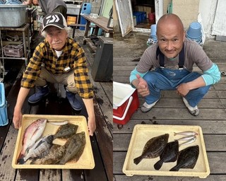 【釣果速報】マコガレイにマダイ、クロダイ！神奈川県荒川屋に乗るとクーラーボックスが高級魚の宝石箱になるぞ！