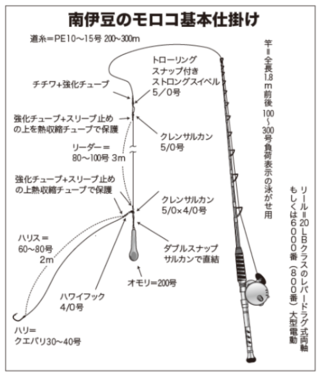 南伊豆のモロコ基本仕掛け