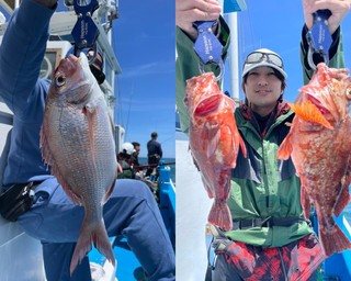 【釣果速報】茨城県ことぶき丸でマダイ0.6kgの良型ゲット！カサゴやアイナメも交じり豪華なお土産に！この船に決まり！