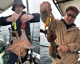 【釣果速報】兵庫県釣り船角田で全員マダコGET達成！1.3kgの巨大タコも！好調の今、ぜひ乗船予約を！