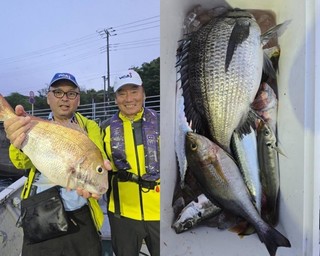 【釣果速報】静岡県魚磯丸でマダイ・アジ・イサキと人気魚種続々ゲット！いろいろな魚との出会いを楽しみたい人は即予約を！