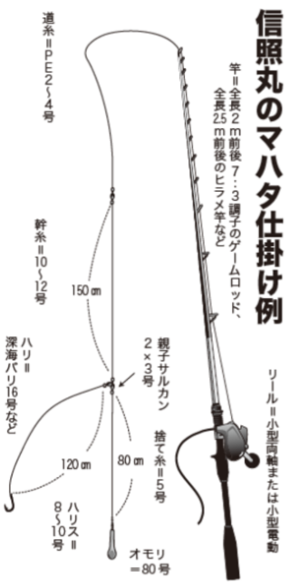 信照丸のマハタ仕掛け例
