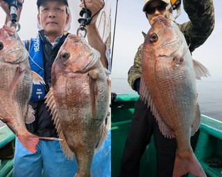 【釣果速報】茨城県長岡丸のショウサイフグ船＆テンヤマダイ船ともに好調！ゲストも多種多様！充実の釣行をお約束します！