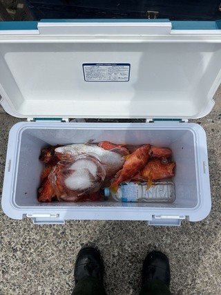 釣果