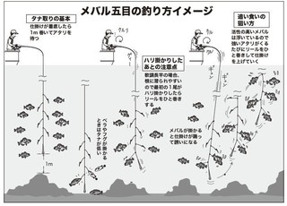 釣り方のイメージ図