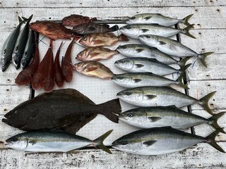 釣果