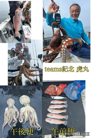 【釣果速報】シロアマダイにマダコ、サバ！和歌山県虎丸に乗るとクーラーボックスが高級魚の宝石箱になるぞ！
