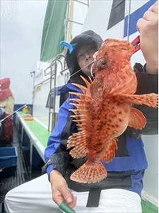 【釣果速報】良型カサゴ連続確保！短時間の出船でもお土産バッチリ！充実の釣行は千葉県幸昌丸で！