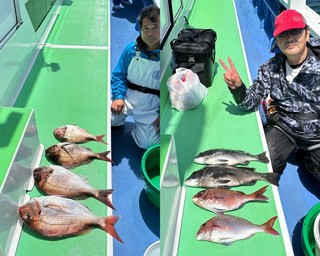【釣果速報】神奈川県大松丸でマダイ絶好調！今後はますます大鯛の数釣りが楽しめるそうですよ！