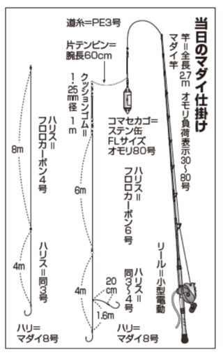 当日のマダイ仕掛け