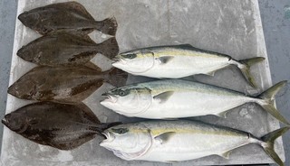 釣果