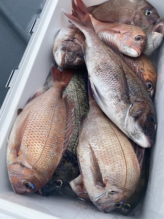 釣果