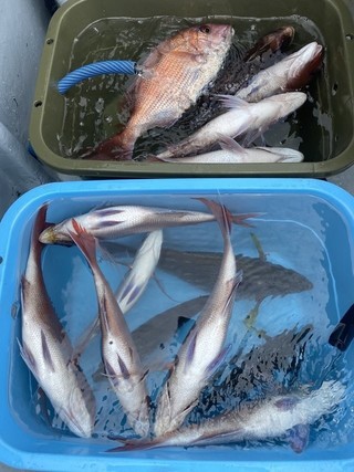 釣果