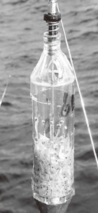 コマセカゴの写真