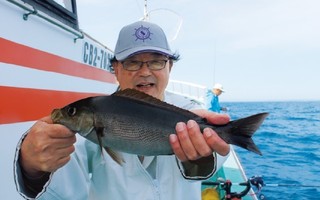 開幕から良型主体の数釣り　今が釣りごろ大原沖イサキ