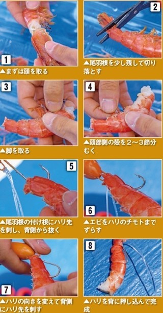 エサの付け方の写真