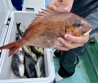 釣果