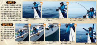 釣り方・取り込み