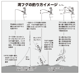 湾フグの釣り方イメージ