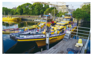 つり幸のフグ乗合