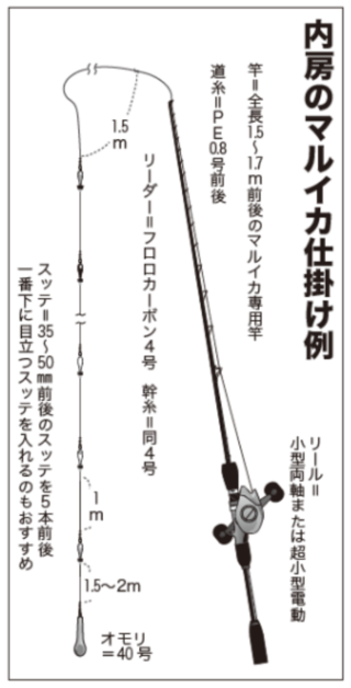 内房のマルイカ仕掛け例