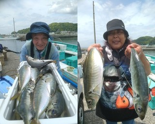 【釣果速報】竿頭53匹！千葉県勘次郎丸でアジの多点掛けが絶好調！数釣りするなら今すぐの乗船がおすすめ！