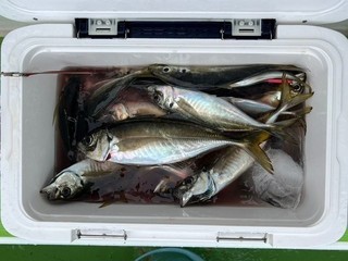 釣果