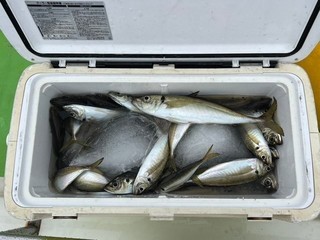 釣果