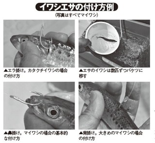 エサの付け方の写真